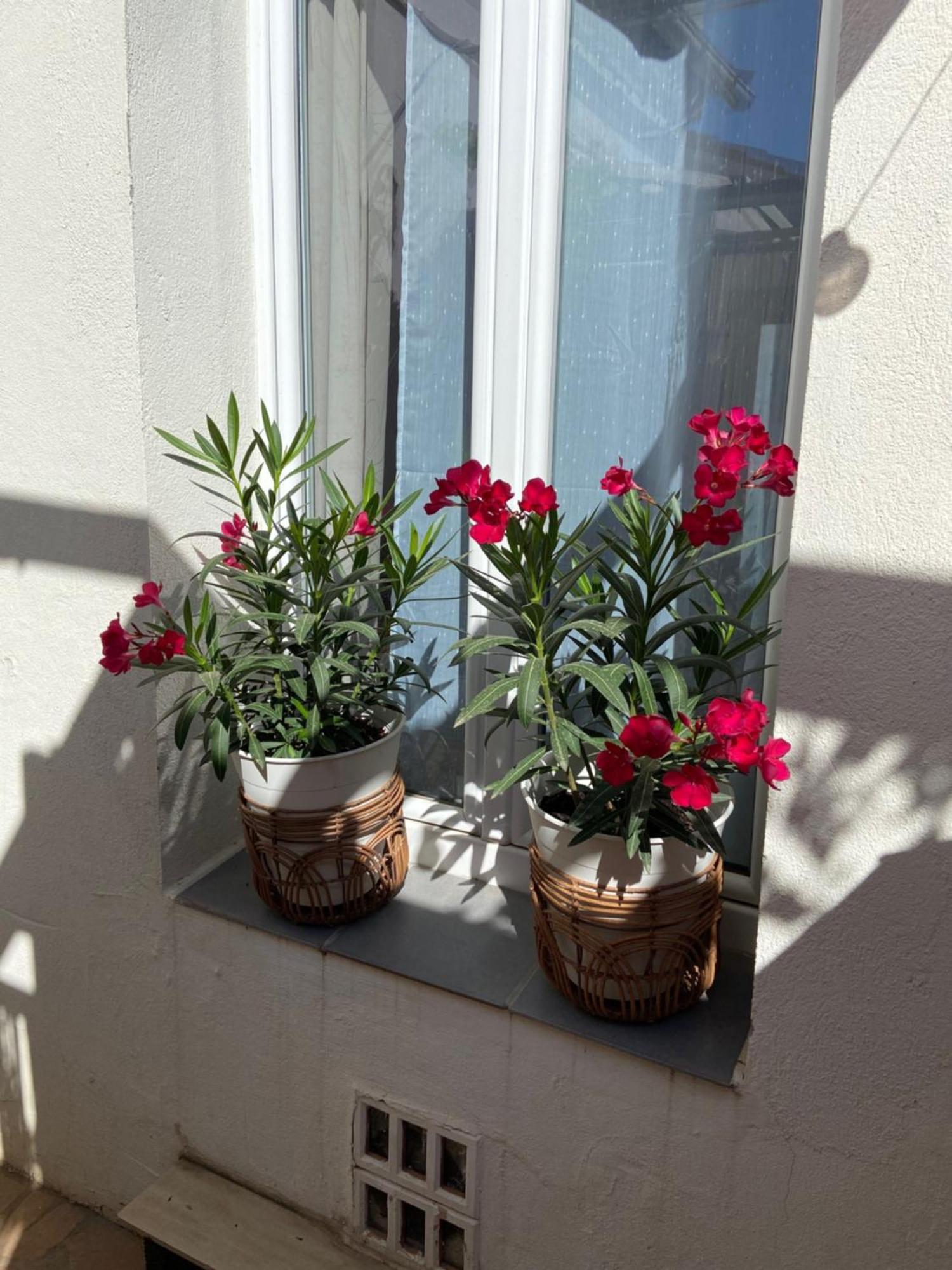 Stella Maris Bed & Breakfast